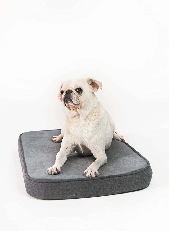 PAWSOME Snooz Dog Bed (Foam Dog Bed, Dog Bed, Puppy Bed, Pet Bed) Dog Crate Pad, Dog Crate Bed (Black,Medium) - Image 4